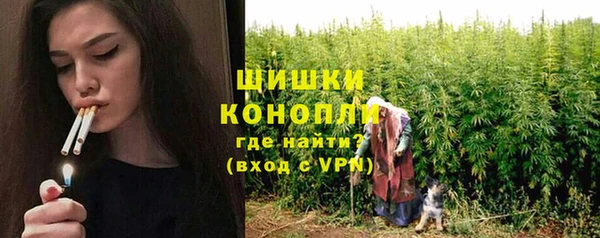 стаф Новодвинск