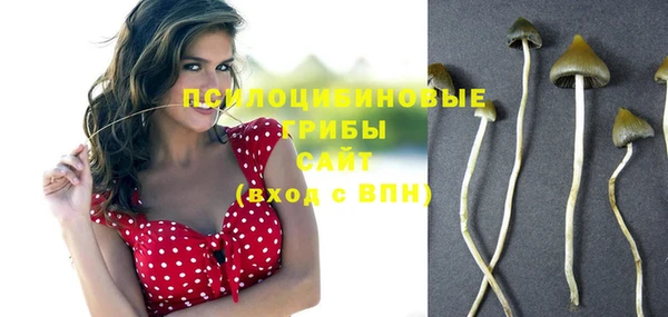 мдпв Нефтегорск